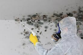 Best Residential Mold Inspection & Testing  in Sugar Grove, IL